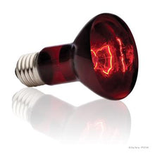 Charger l'image dans la galerie, Ampoule à infrarouge Exo Terra pour lézarder, R20, 75 W - Boutique Le Jardin Des Animaux -Eclairage reptileBoutique Le Jardin Des AnimauxPT2142