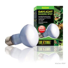 Charger l'image dans la galerie, Ampoule à lumière du jour Exo Terra pour lézarder, R20, 50 W - Boutique Le Jardin Des Animaux -Eclairage reptileBoutique Le Jardin Des AnimauxPT2131