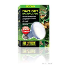 Charger l'image dans la galerie, Ampoule à lumière du jour Exo Terra pour lézarder, R25, 100 W - Boutique Le Jardin Des Animaux -Eclairage reptileBoutique Le Jardin Des AnimauxPT2133