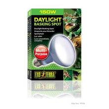 Charger l'image dans la galerie, Ampoule à lumière du jour Exo Terra pour lézarder, R30, 150 W - Boutique Le Jardin Des Animaux -Eclairage reptileBoutique Le Jardin Des AnimauxPT2134