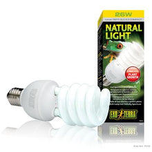 Charger l'image dans la galerie, Ampoule fluocompacte Natural Light Exo Terra, 26 W - Boutique Le Jardin Des Animaux -Eclairage reptileBoutique Le Jardin Des AnimauxPT2191