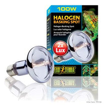 Charger l'image dans la galerie, Ampoule halogène Sun Glo Exo Terra à lumière du jour et au néodyme, 100 W - Boutique Le Jardin Des Animaux -Eclairage reptileBoutique Le Jardin Des AnimauxPT2183