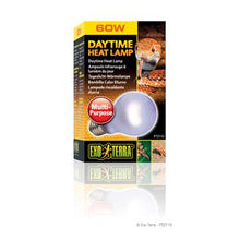 Charger l'image dans la galerie, Ampoule incandescente Sun Glo Exo Terra à lumière du jour, A19/60 W - Boutique Le Jardin Des Animaux -Eclairage reptileBoutique Le Jardin Des AnimauxPT2110