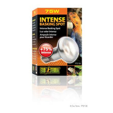 Charger l'image dans la galerie, Ampoule Intense Exo Terra pour lézarder, S20, 75 W - Boutique Le Jardin Des Animaux -Eclairage reptileBoutique Le Jardin Des AnimauxPt2136
