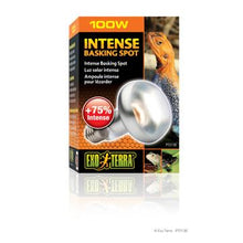 Charger l'image dans la galerie, Ampoule Intense Exo Terra pour lézarder, S25, 100 W - Boutique Le Jardin Des Animaux -Eclairage reptileBoutique Le Jardin Des AnimauxPt2138