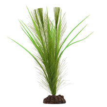 Charger l'image dans la galerie, Aqualife plante Myriophylle brésilien vert et Vallisnérie - Boutique Le Jardin Des Animaux -DécorationBoutique Le Jardin Des Animauxpp1632