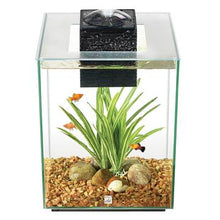 Charger l'image dans la galerie, Aquarium équipé Chi II FL 19L (5galUS) - Boutique Le Jardin Des Animaux -AquariumBoutique Le Jardin Des Animaux10505