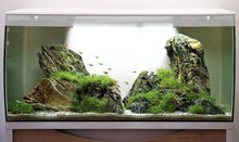 Charger l'image dans la galerie, Aquarium équipé FLEX Fluval, blanc, 123 L (32,5 gal US) - Boutique Le Jardin Des Animaux -AquariumBoutique Le Jardin Des Animaux14996