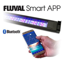 Charger l'image dans la galerie, Aquarium équipé Flex Fluval Sea d’eau de mer, noir, 123 L (32,5 gal US) - Boutique Le Jardin Des Animaux -AquariumBoutique Le Jardin Des Animaux14994