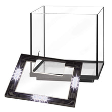 Charger l'image dans la galerie, Aquarium pour crevette avec DEL, AQUEON 7,5 gal. - Boutique Le Jardin Des Animaux -AquariumBoutique Le Jardin Des Animaux73912