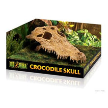 Charger l'image dans la galerie, Cachette Exo Terra en forme de crâne de crocodile - Boutique Le Jardin Des Animaux -DécorationBoutique Le Jardin Des AnimauxPT2856