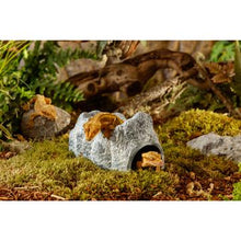 Charger l'image dans la galerie, Cachettes Wet Cave Exo Terra, grotte céramique hygroscopique, grand - Boutique Le Jardin Des Animaux -DécorationBoutique Le Jardin Des AnimauxPT3173