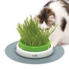 Charger l'image dans la galerie, Catit 2.0 jardinière d'herbe à chat à cultiver - Boutique Le Jardin Des Animaux -Herbe à chatBoutique Le Jardin Des Animaux43161w