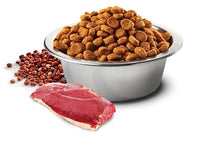 Charger l'image dans la galerie, FARMINA SANS GRAINS QUINOA ET CANARD, URINAIRE, POUR CHAT ADULTE - Boutique Le Jardin Des Animaux -Nourriture chatBoutique Le Jardin Des AnimauxFA03582