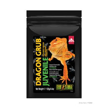 Charger l'image dans la galerie, Granulés Dragon Grub Exo Terra à base d’insectes pour Dragon barbu juvénile - Boutique Le Jardin Des Animaux -nourriture reptileBoutique Le Jardin Des AnimauxPT3265