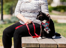 Charger l'image dans la galerie, Harnais pour chat Splatter - ADVENTURE KITTY HARNESS - RC Pets - Boutique Le Jardin Des Animaux -CollierBoutique Le Jardin Des Animaux538 - 115 Splatter