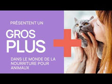 Charger et lire la vidéo dans la visionneuse de la Galerie, Nourriture pour chien Nutrience Care Soins dentaire