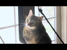 Charger et lire la vidéo dans la visionneuse de la Galerie, K&H \ Kitty Sill - EZ Window Mount, Tablette de bord de fenêtre pour chat