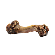 Charger l'image dans la galerie, Os Roam Bucky Funny Bone, venaison des prairies, humérus, 236 g, paquet de 1