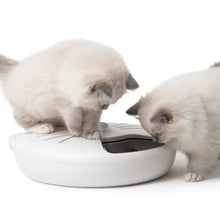 Charger l'image dans la galerie, Distributeur intelligent Catit PIXI de 6 repas