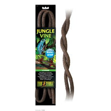 Charger l'image dans la galerie, Liane pliante Jungle Vine Exo Terra, grande - Boutique Le Jardin Des Animaux -DécorationBoutique Le Jardin Des AnimauxPT3086