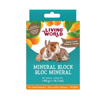 Charger l'image dans la galerie, Living World bloc minéraux arôme d'orange 40g pour petits animaux - Boutique Le Jardin Des Animaux -Gâterie petit mammifèreBoutique Le Jardin Des Animaux60498