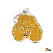 Charger l'image dans la galerie, Médaille pour chien collection Friends, CANICHE, Couleurs variées - Boutique Le Jardin Des Animaux -médailleBoutique Le Jardin Des AnimauxMF20NORANGE