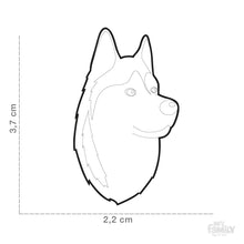 Charger l'image dans la galerie, Médaille pour chien collection Friends, HUSKY, Couleurs variées - Boutique Le Jardin Des Animaux -médailleBoutique Le Jardin Des AnimauxMF13