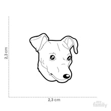 Charger l'image dans la galerie, Médaille pour chien collection Friends, PINSCHER, couleurs variées - Boutique Le Jardin Des Animaux -médailleBoutique Le Jardin Des AnimauxMF26BLACK
