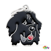 Charger l'image dans la galerie, Médaille pour chien collection Friends, TERRE-NEUVE - Boutique Le Jardin Des Animaux -médailleBoutique Le Jardin Des AnimauxMF17