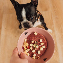 Charger l'image dans la galerie, Nourriture crue pour chien Faim Museau - Bœuf & Pomme - Boutique Le Jardin Des Animaux -Nourriture chienBoutique Le Jardin Des Animaux