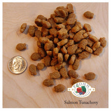 Charger l'image dans la galerie, Nourriture Fromm Four Stars chat Sans Grains Saumon Tunachovy - Boutique Le Jardin Des Animaux -Nourriture chatBoutique Le Jardin Des Animaux-11716