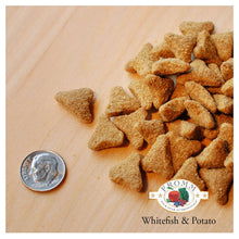 Charger l'image dans la galerie, Nourriture Fromm Four Stars chien Poisson et pommes de terre - Boutique Le Jardin Des Animaux -Nourriture chienBoutique Le Jardin Des Animaux11634