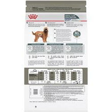 Charger l'image dans la galerie, Nourriture Royal Canin Grand chien soin dentaire - Boutique Le Jardin Des Animaux -Nourriture chienBoutique Le Jardin Des AnimauxRCXD300