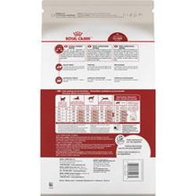 Charger l'image dans la galerie, Nourriture Royal Canin pour Chat Adulte en forme et actif - Boutique Le Jardin Des Animaux -Nourriture chatBoutique Le Jardin Des AnimauxRCFM030