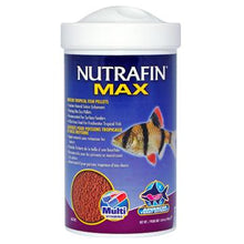 Charger l'image dans la galerie, Nutrafin Max granulés pour poissons tropicaux, - Boutique Le Jardin Des Animaux -Nourriture PoissonBoutique Le Jardin Des Animauxa6734