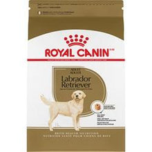 Charger l'image dans la galerie, Royal Canin pour chien Labrador adulte - Boutique Le Jardin Des Animaux -Nourriture chienBoutique Le Jardin Des AnimauxRCXR300