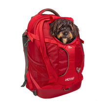 Charger l'image dans la galerie, Kurgo Sac à Dos G-train, porte-chien, jusqu'à 25lbs