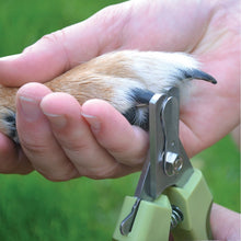 Charger l'image dans la galerie, Safari coupe griffe professionnel pour chien - Boutique Le Jardin Des Animaux -ToilettageBoutique Le Jardin Des AnimauxSW6106