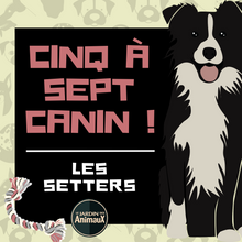 Charger l'image dans la galerie, Frais d'inscription à un 5 à 7 - regroupement de race de chiens
