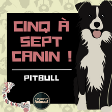 Charger l'image dans la galerie, Frais d'inscription à un 5 à 7 - regroupement de race de chiens
