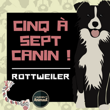 Charger l'image dans la galerie, Frais d'inscription à un 5 à 7 - regroupement de race de chiens
