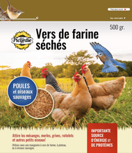 Charger l'image dans la galerie, PICARDIE VERS DE FARINE 500GR
