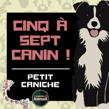 Charger l'image dans la galerie, Frais d'inscription à un 5 à 7 - regroupement de race de chiens

