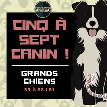Charger l'image dans la galerie, 5 à 7 - Frais d'inscription à un regroupement par tailles de chien

