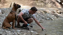Charger l'image dans la galerie, Grandes bouteilles d'eau en acier inoxydable avec couvercle pour chien, capacité de 700 ml
