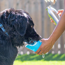 Charger l'image dans la galerie, Grandes bouteilles d'eau en acier inoxydable avec couvercle pour chien, capacité de 700 ml
