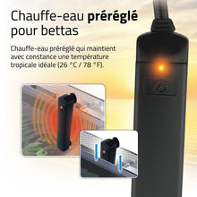 Charger l'image dans la galerie, Aquarium équipé haut de gamme Fluval pour bettas - 22,7 L (6 gal US)
