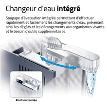Charger l'image dans la galerie, Aquarium équipé haut de gamme Fluval pour bettas - 22,7 L (6 gal US)
