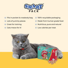 Charger l'image dans la galerie, Benny Bully's Gâteries pour chat - Smart Packs Mini - Extrait de saumon et de romarin plus 18 gr
